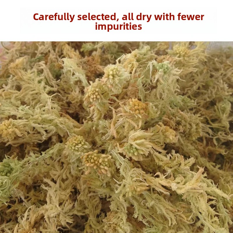 Grade A Dried Sphagnum Moss, N - đánh giá và giá Preserved Moss Sheet