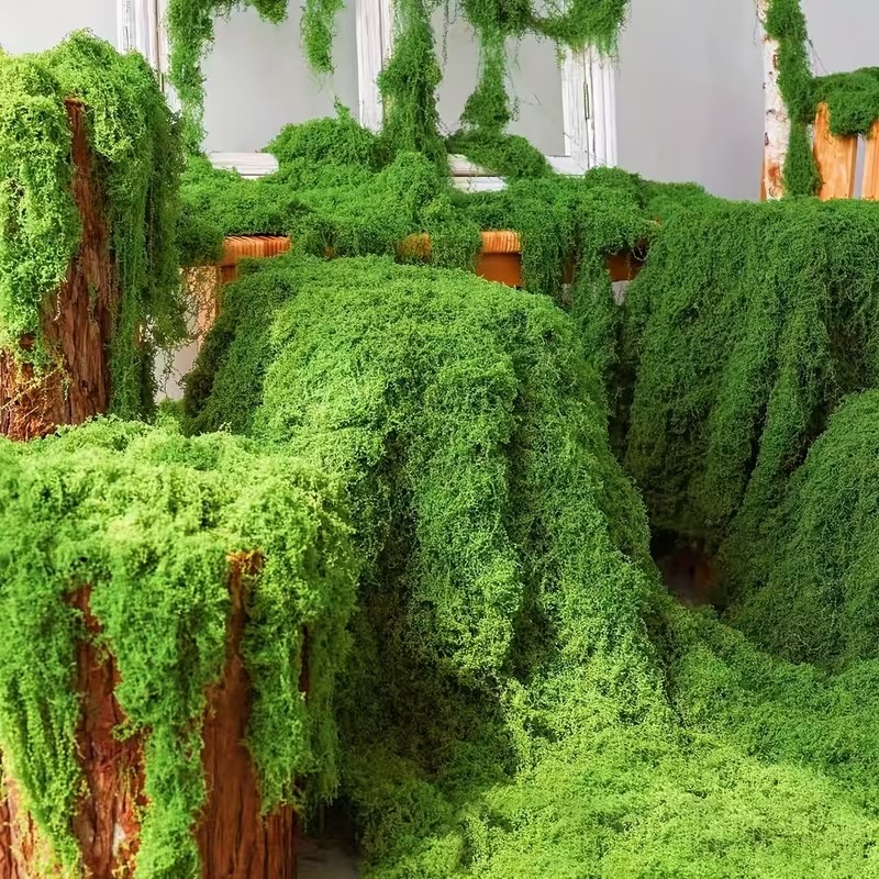 Realistic Artificial Moss Turf - đánh giá và giá Preserved Moss Sheet