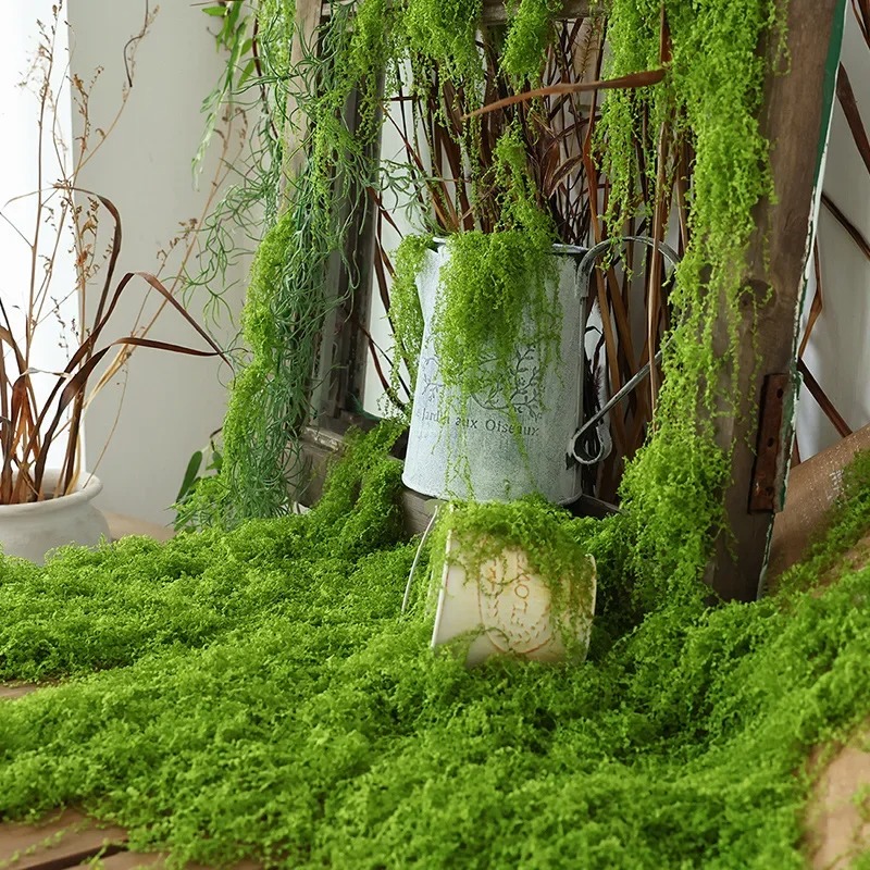 Realistic Artificial Moss Turf - đánh giá và giá Preserved Moss Sheet