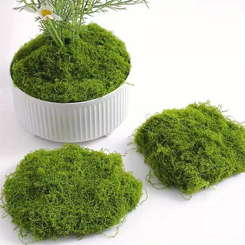 Green Fake Moss DIY Crafts Gra - đánh giá và giá Preserved Moss Sheet