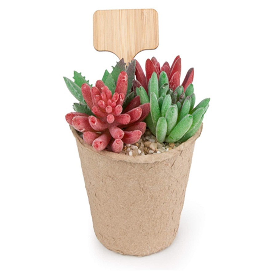 100Pcs Wooden Plant Tag Stakes - đánh giá và giá Floral Picks Wood